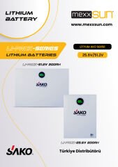 Li-Pack 51,2V-200Ah (LiFePo4)